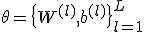 \theta = \{W^{(l)}, b^{(l)}\}_{l=1}^L
