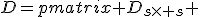 
D=\begin{pmatrix} D_{s\times s} & O_{s \times (p-s)} \\ O_{(p-s) \times s} & D_{(p-s)\times (p-s)} \end{pmatrix},
