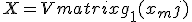 
X=\begin{Vmatrix}
g_1(x_mj)    & g_2(x_mj) \cdots & g_r(x_mj) \\
g_1(x_(m-1)j & g_2(x_(m-1)j)   \cdots & g_r(x_(m-1)j  \\
\vdots     
\\
g_1(x_j) & g_2(x_j)  \cdots & g_r(x_j)\\
\end{Vmatrix}
