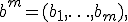 b^m = (b_1,\ldots,b_m),\; b_i \in \{0,1\}