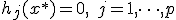 h_j(x^*) = 0, \quad j = 1, \dots, p