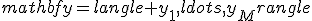 mathbf{y}=langle y_1,ldots,y_Mrangle